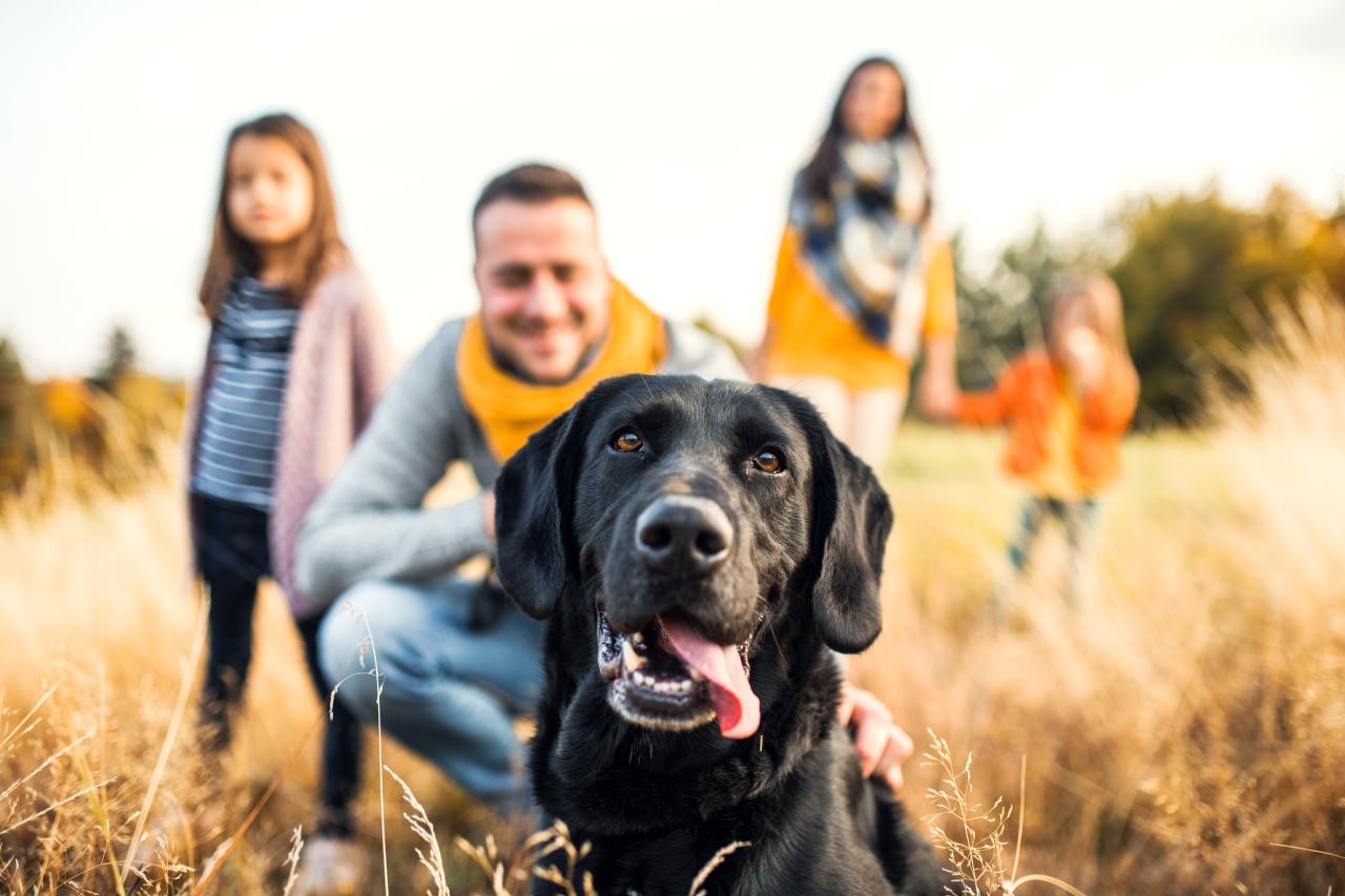 Familie draussen in der Natur mit ihrem Hund